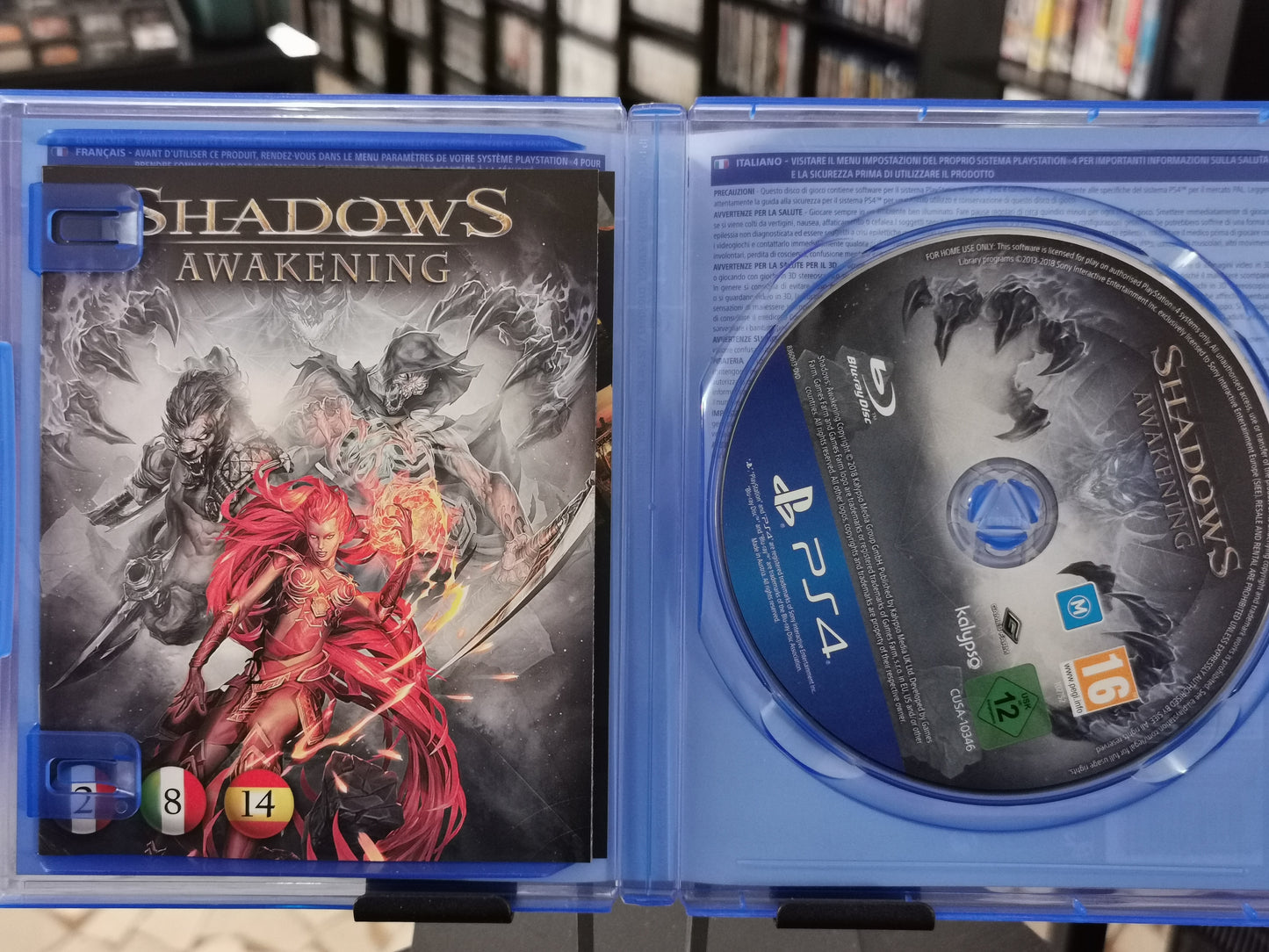 Shadows: Awakening (PS4)