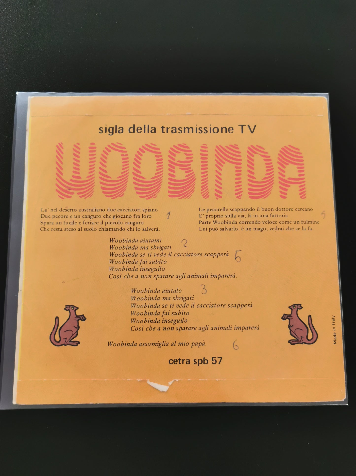 Riccardo Zara e Le Mele Verdi - Woobinda (45 giri)