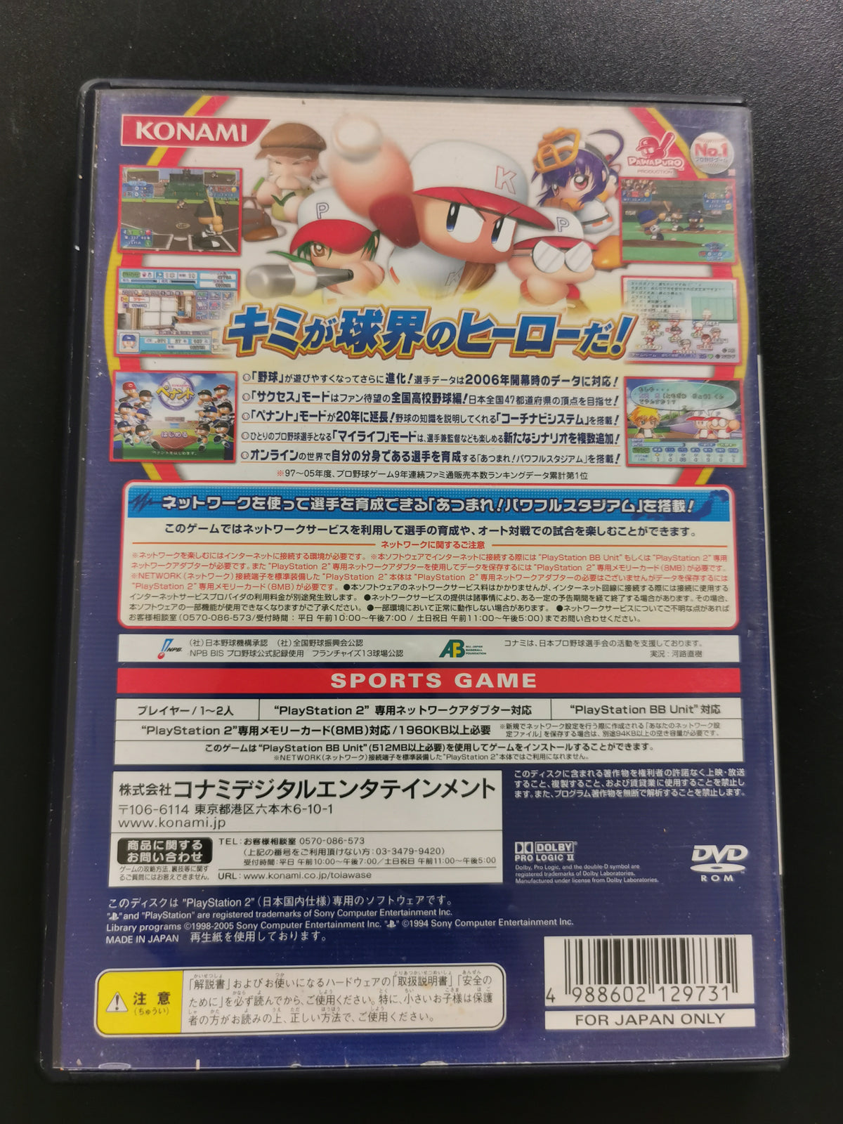 Jikkyou Powerful Pro Yakyuu 13 (PS2)