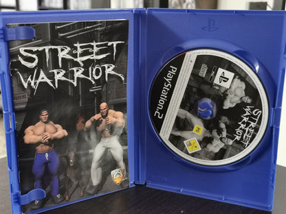 Street Warrior (PS2)