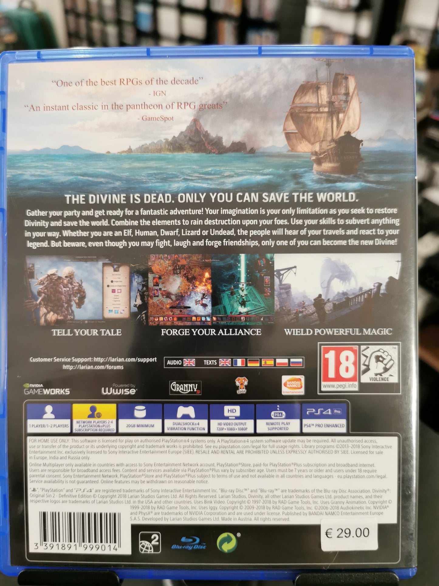 Divinity Original Sin II - Definitive Edition (PS4)