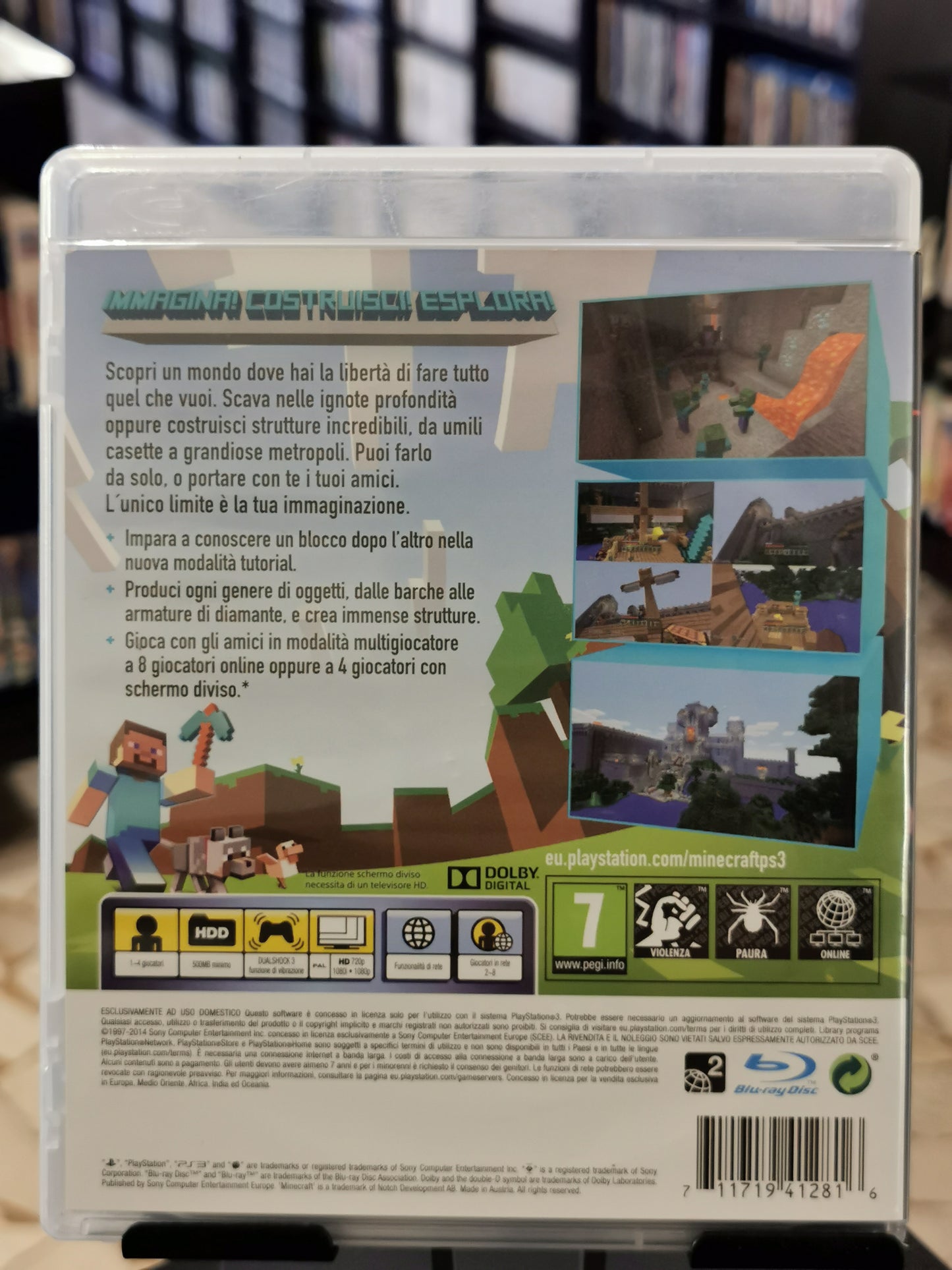Minecraft (PS3)