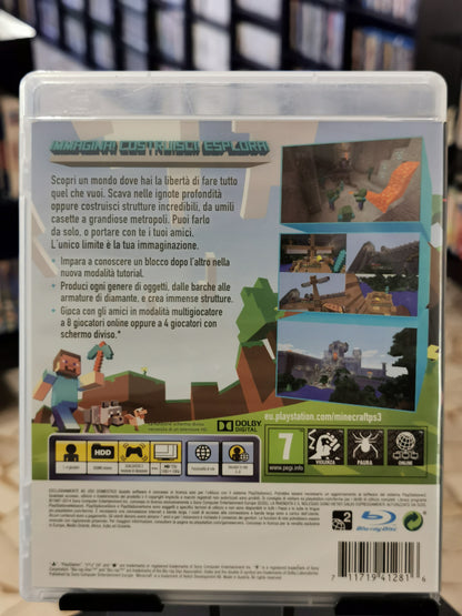 Minecraft (PS3)