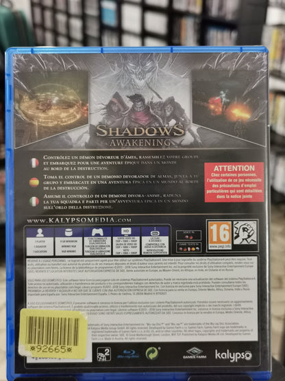 Shadows: Awakening (PS4)