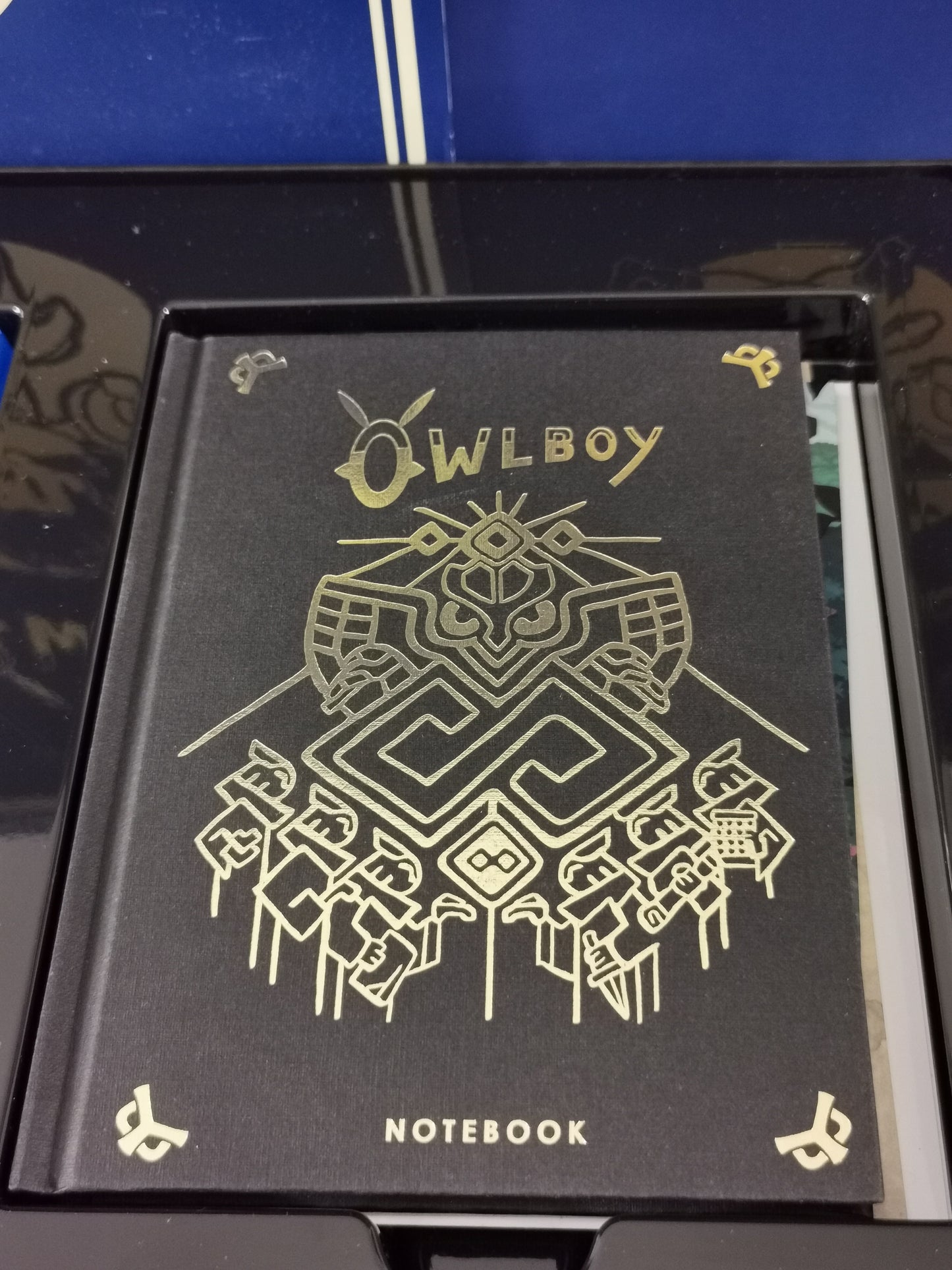 Owlboy [Limited Edition] (PS4)