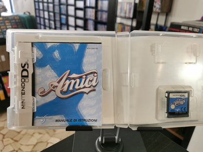 Amici (DS)
