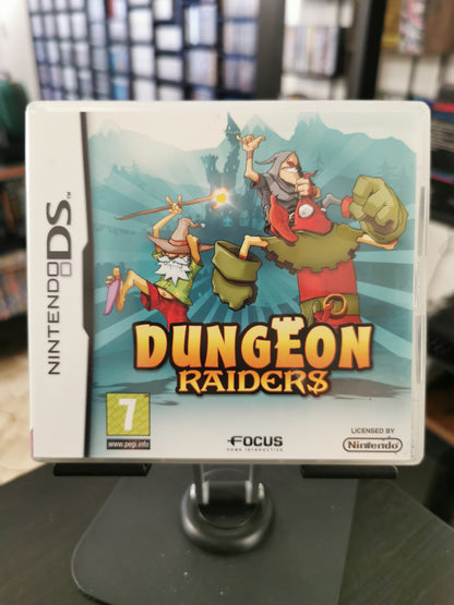 Dungeon Raiders (DS)