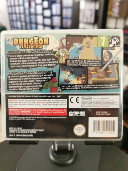 Dungeon Raiders (DS)