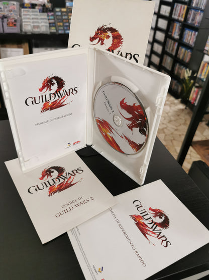 Guild Wars 2 (PC)