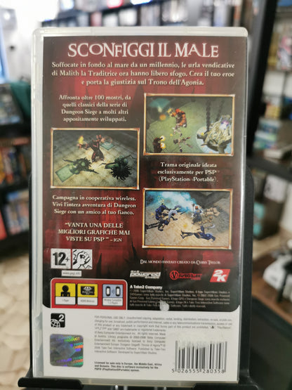 Dungeon Siege: Throne Of Agony (PSP)