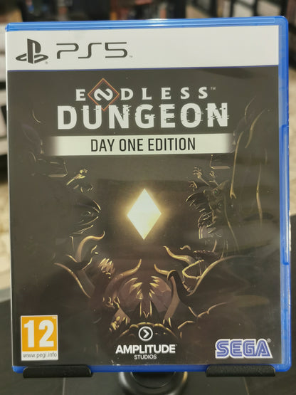 Endless Dungeon (PS5)