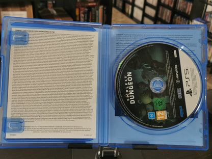 Endless Dungeon (PS5)