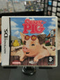 Crazy Pig (DS)