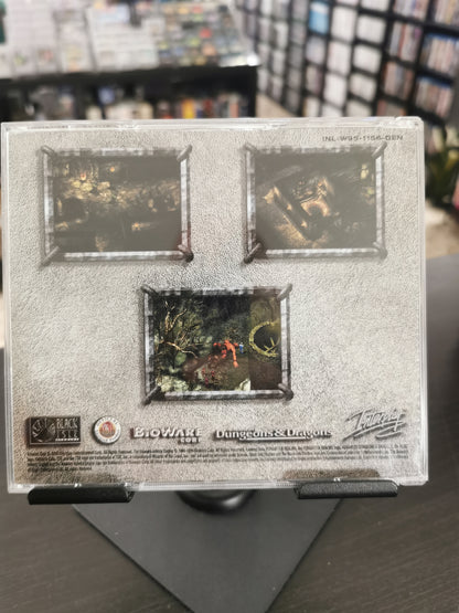 Icewind Dale (PC)