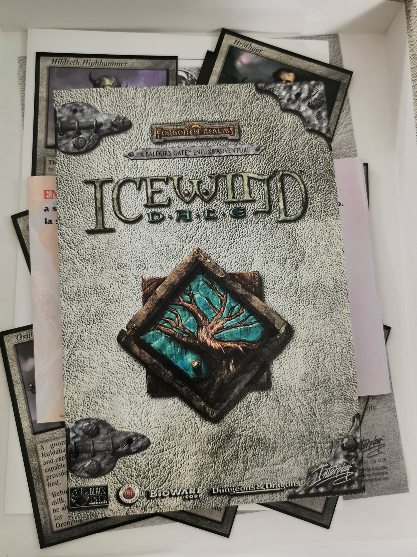 Icewind Dale (PC) Big Box