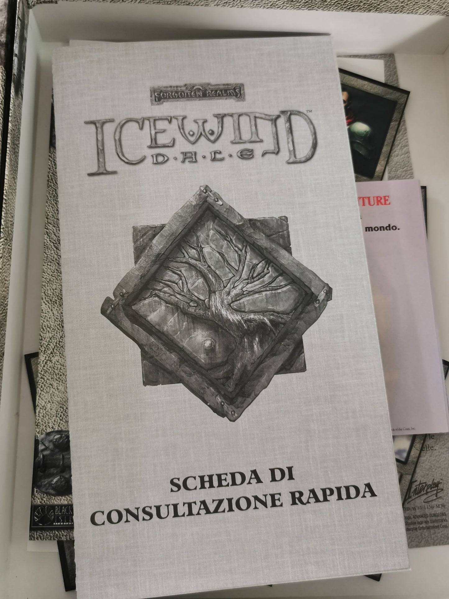 Icewind Dale (PC) Big Box