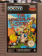 The NewZealand Story (NES)