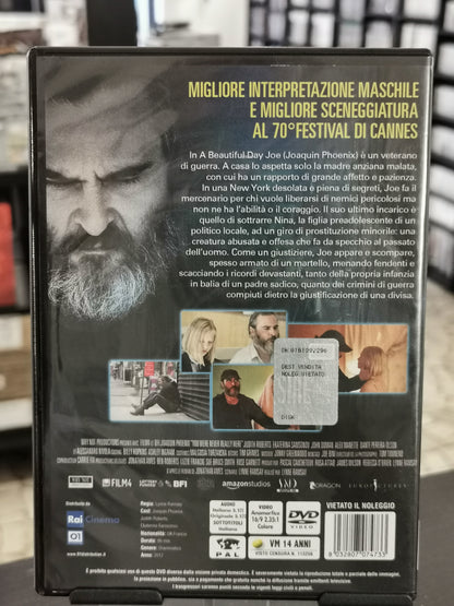 A Beautiful Day (DVD)