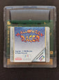 Halloween Racer (GBC) – Loose