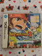 Inazuma Eleven 2: Bufera di Neve (DS)