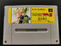 Dragon Ball Z: Super Butōden (Super Famicom) - Loose