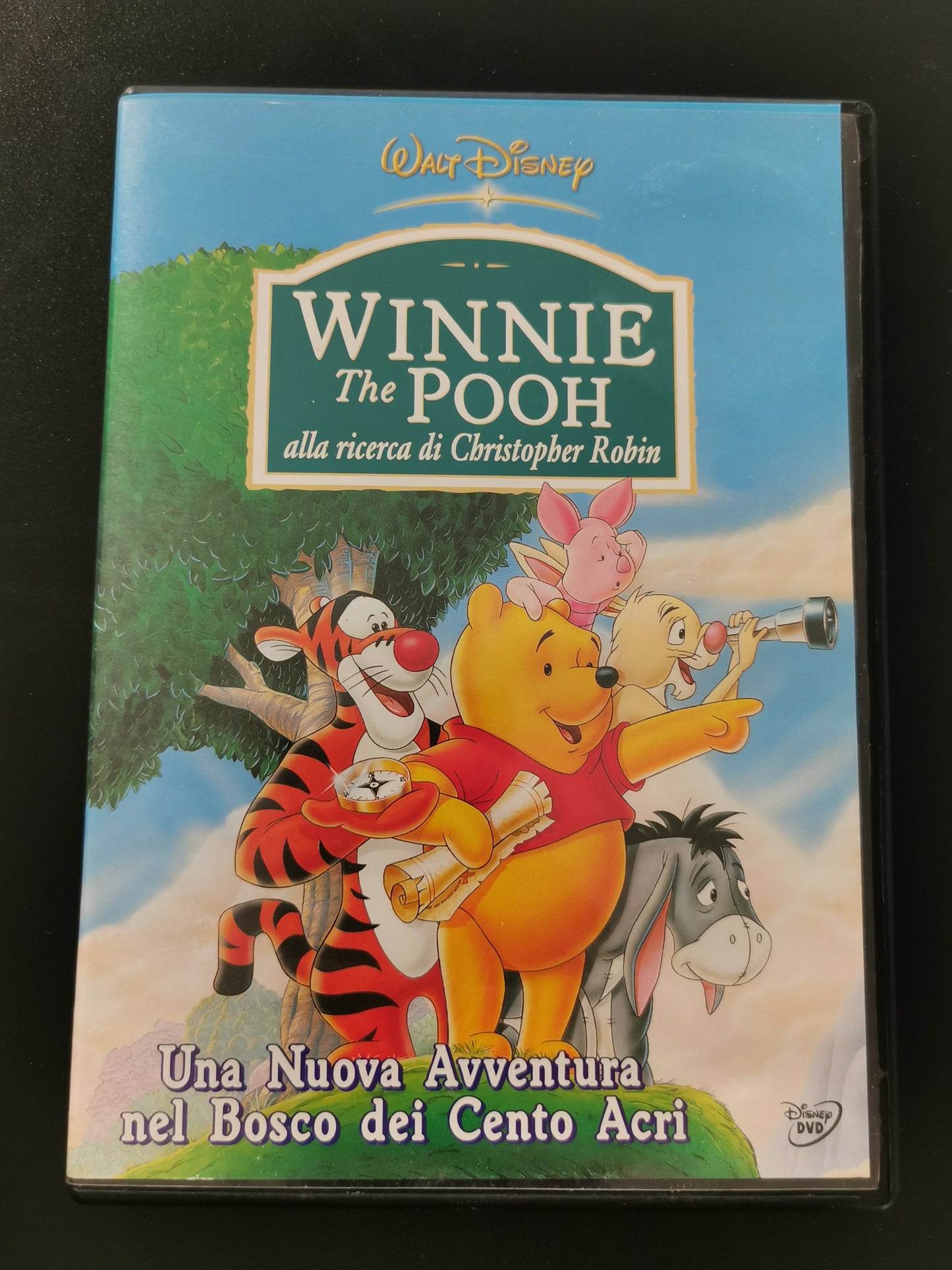 Winnie the Pooh alla ricerca di Christopher Robin (DVD)
