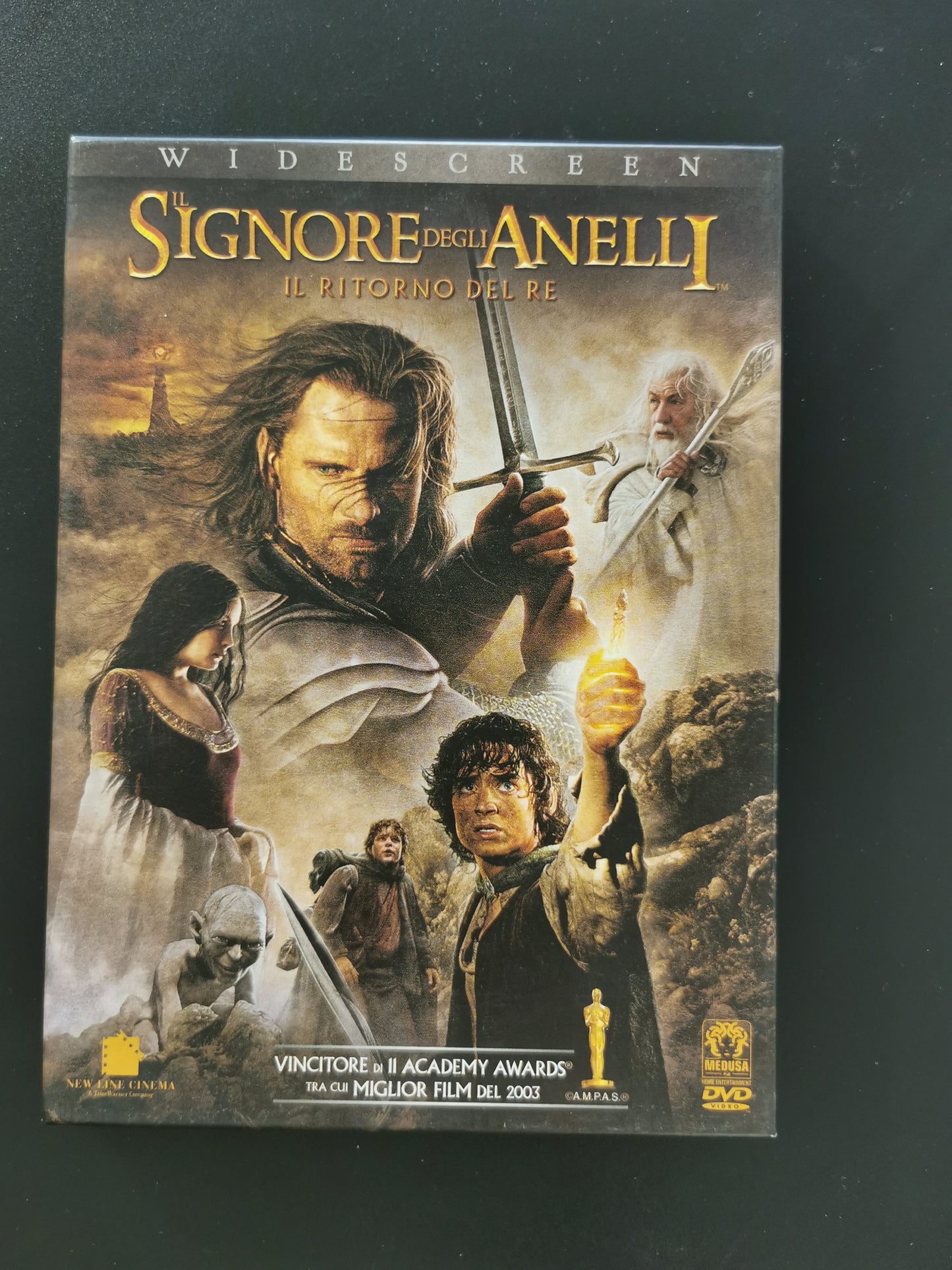 Il Signore degli Anelli: Il Ritorno del Re – Edizione 2 DVD (DVD)