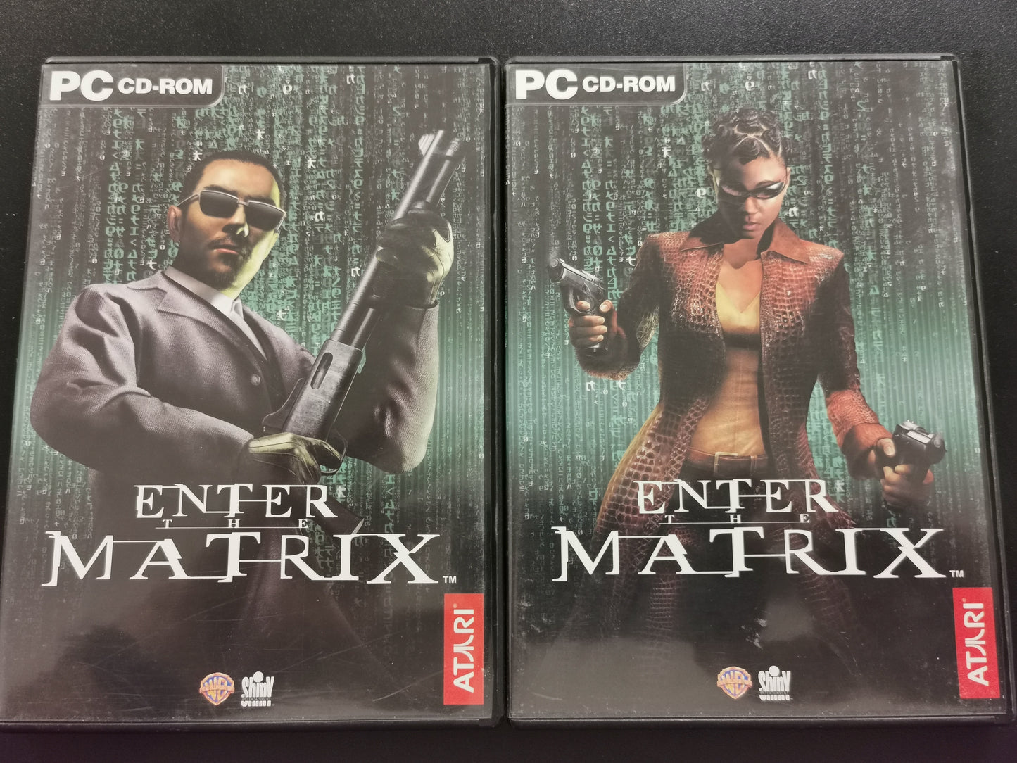 Enter the Matrix (PC)