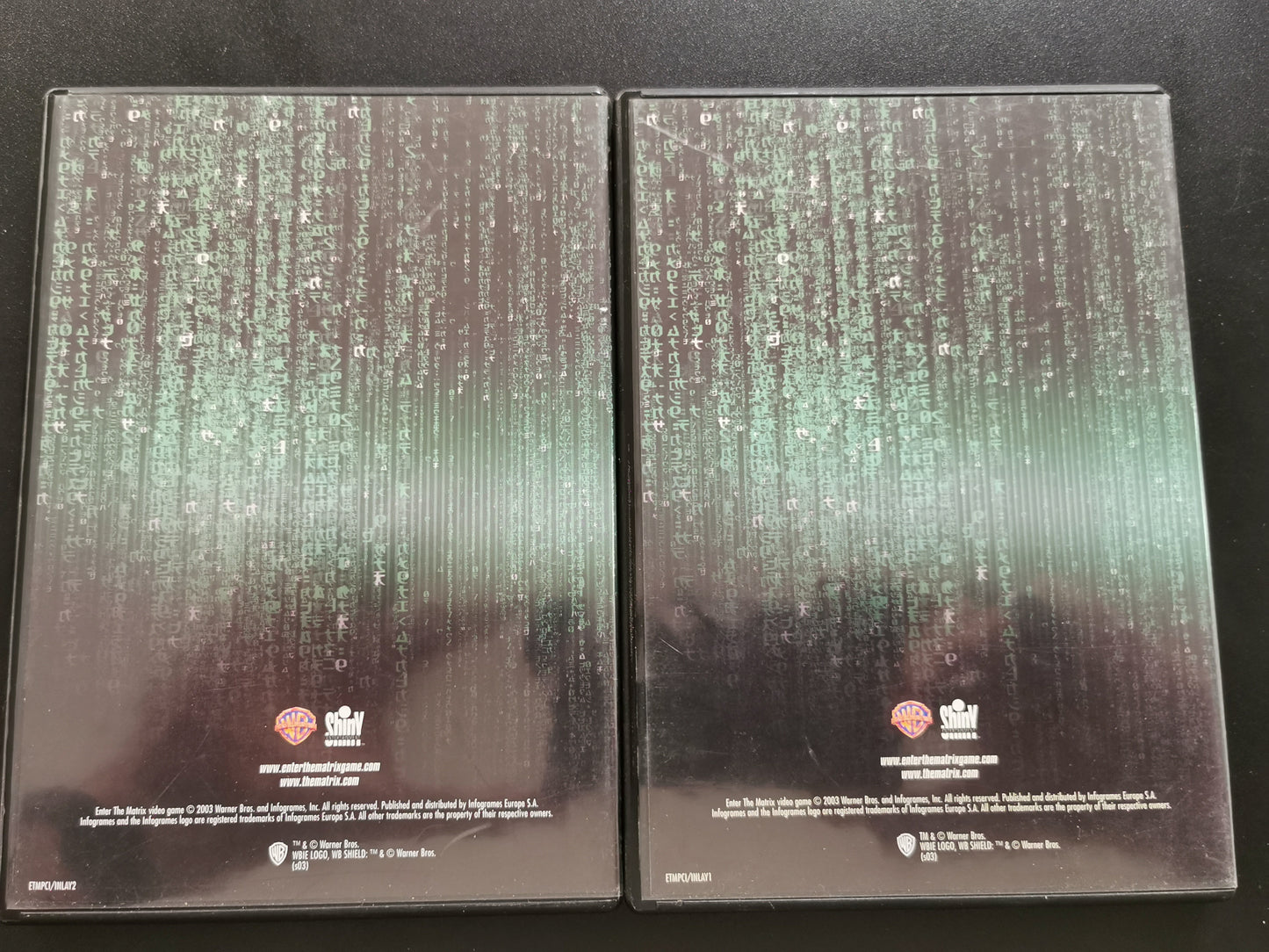 Enter the Matrix (PC)
