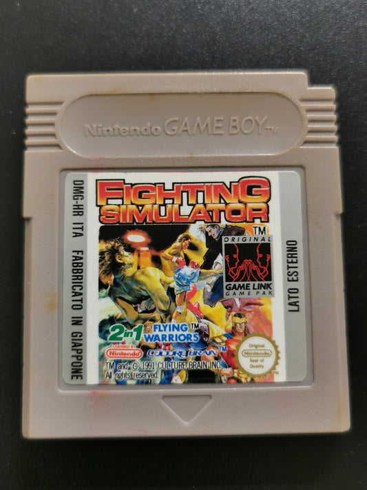 Fighting Simulator: 2-in-1 Flying Warriors (Game Boy) – Loose