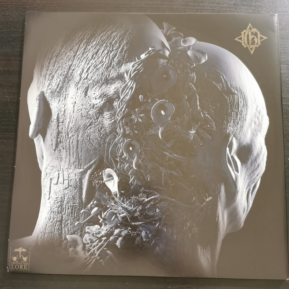 Godthrymm – Distortions (LP)