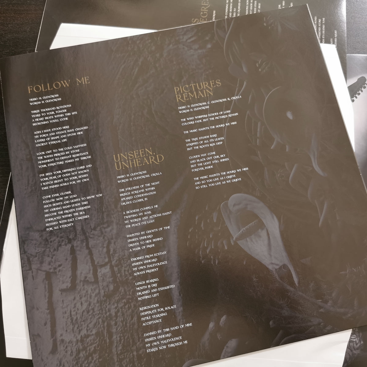 Godthrymm – Distortions (LP)
