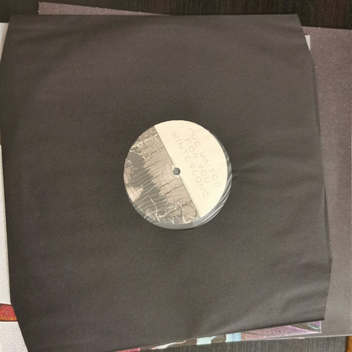 Executioner's Mask - Winterlong (LP)