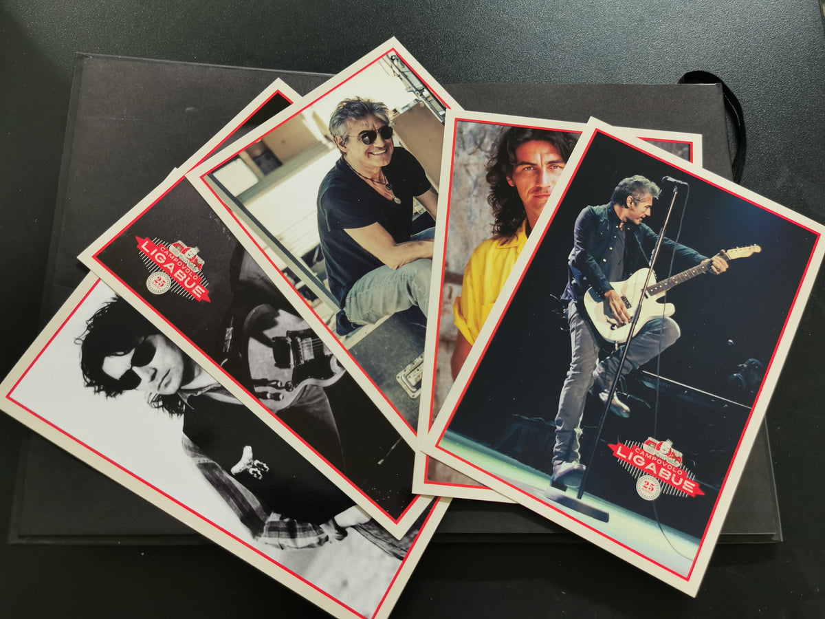 Ligabue – Campovolo 2015 Special Box 25 Anni (DVD)